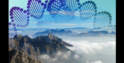 Why Transmedia is Catching On (Part 2)