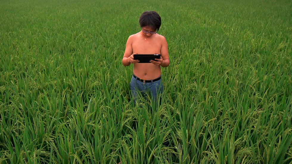 "Open the Window, and Flies Will Come In"