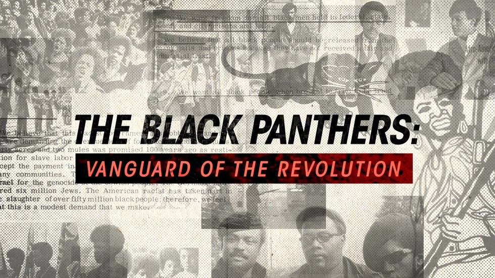 Support "The Black Panthers" doc, see it before anyone else.