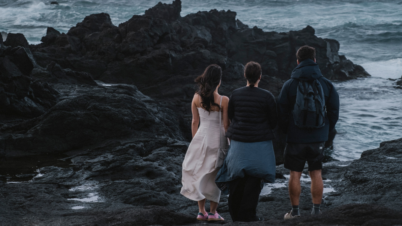 Tribeca Premieres Now in Theaters
