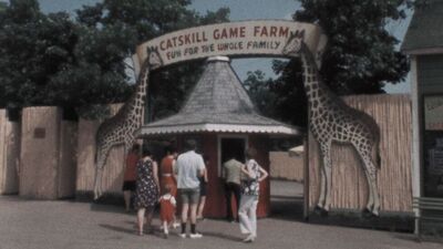 American Zoo