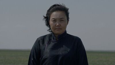 Colors of White Rock