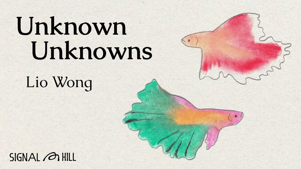 Unknown Unknowns