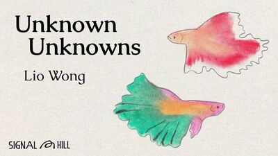 Unknown Unknowns