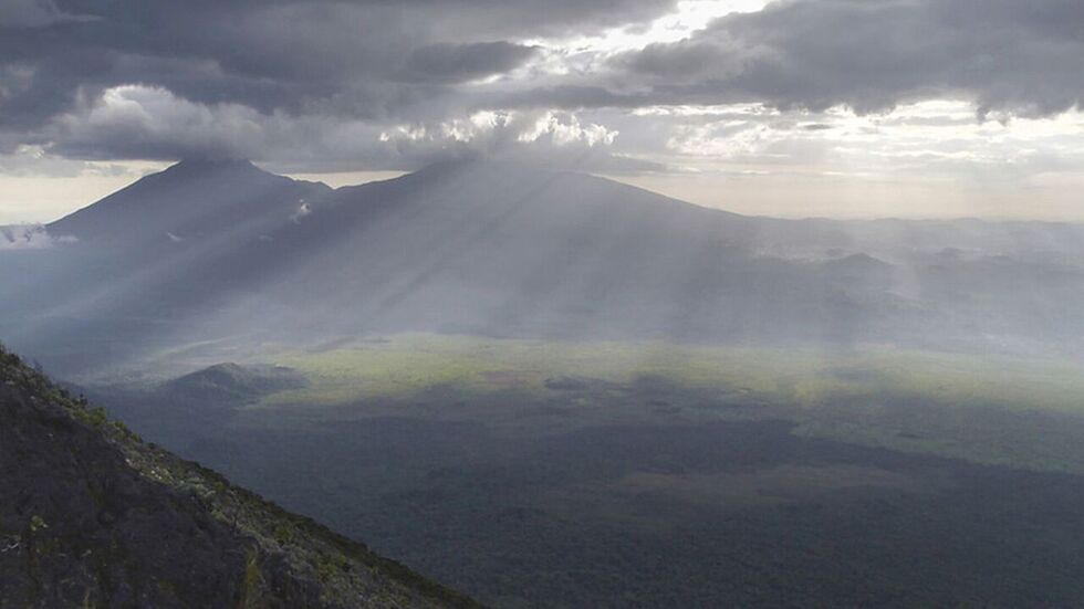 Virunga
